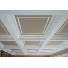 Paneled Ceilings